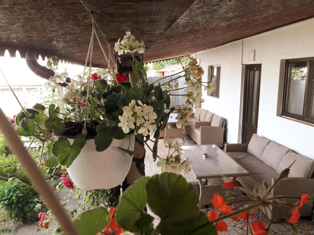 Casa Chitu Guest House Murighiol Exterior photo